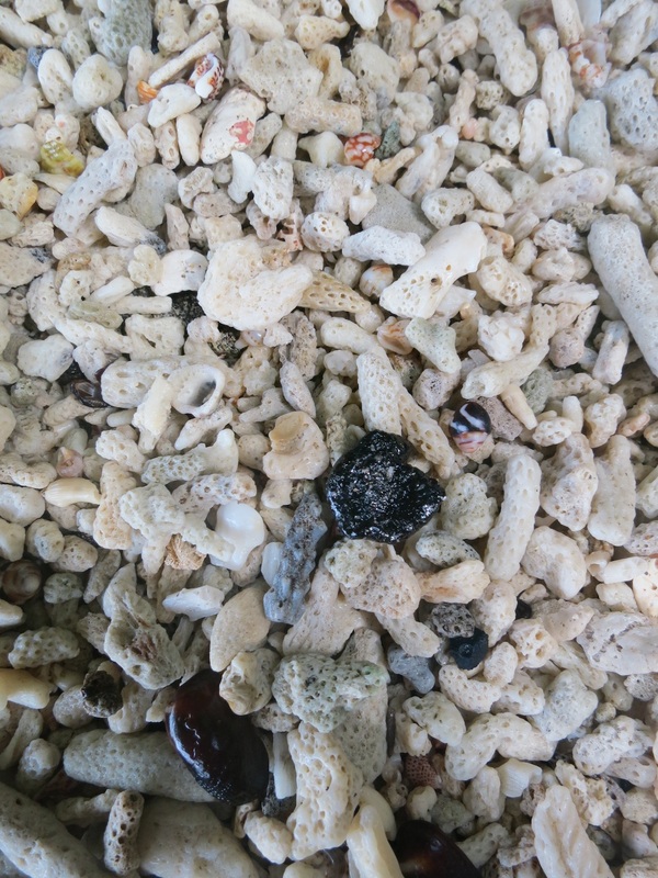 Conservation Surveys 7