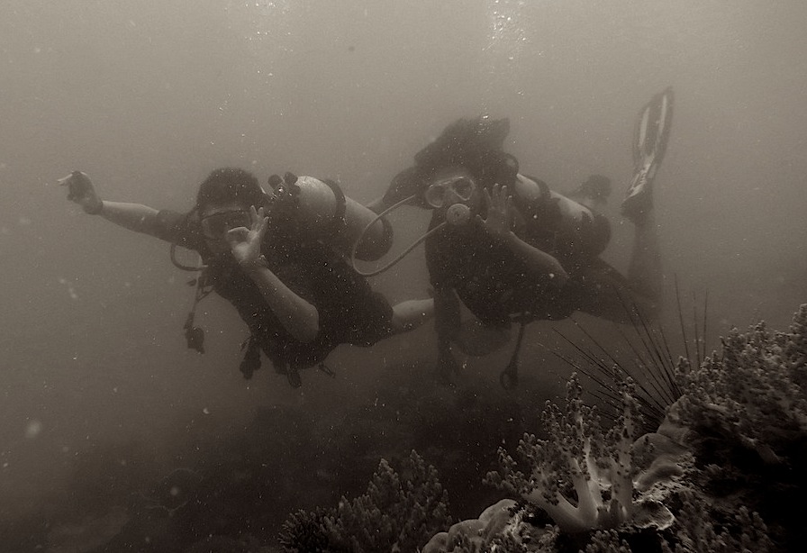 Underwater Times 104