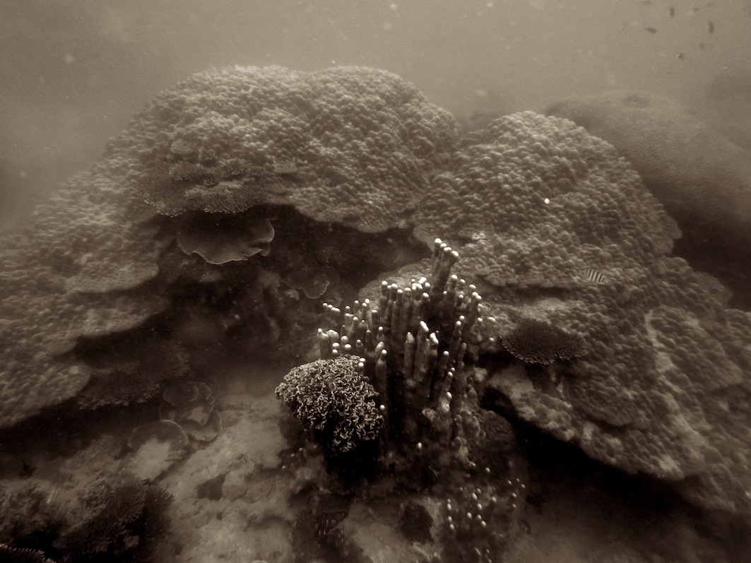 Underwater Times 118