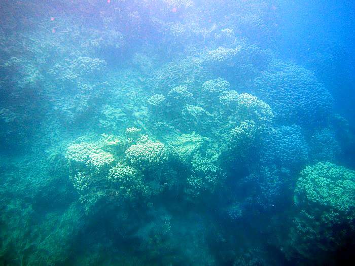 Reef Top, West Side