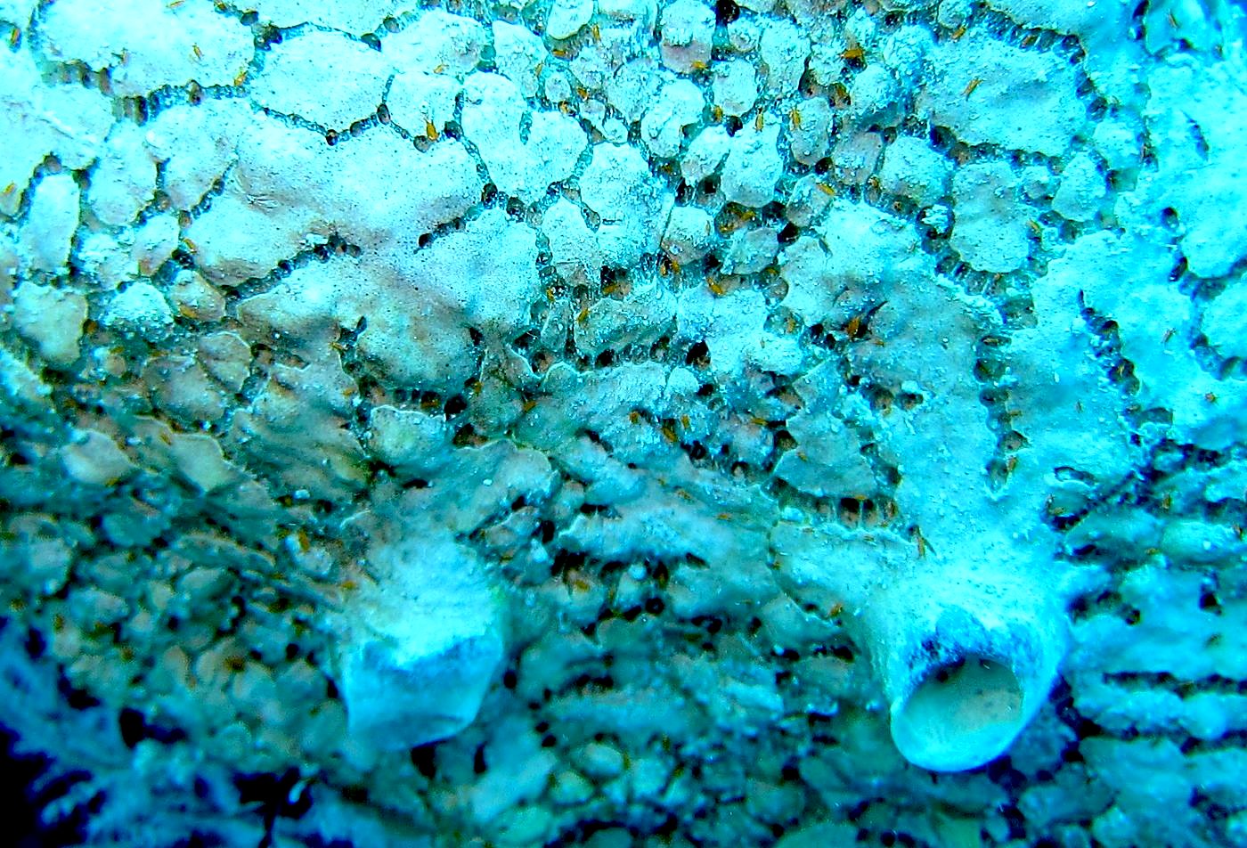 The Entrance 2