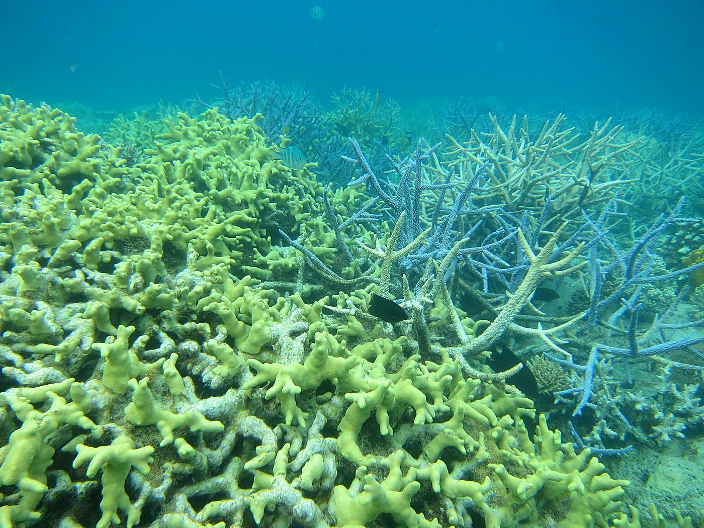 The Inner Lagoon 9