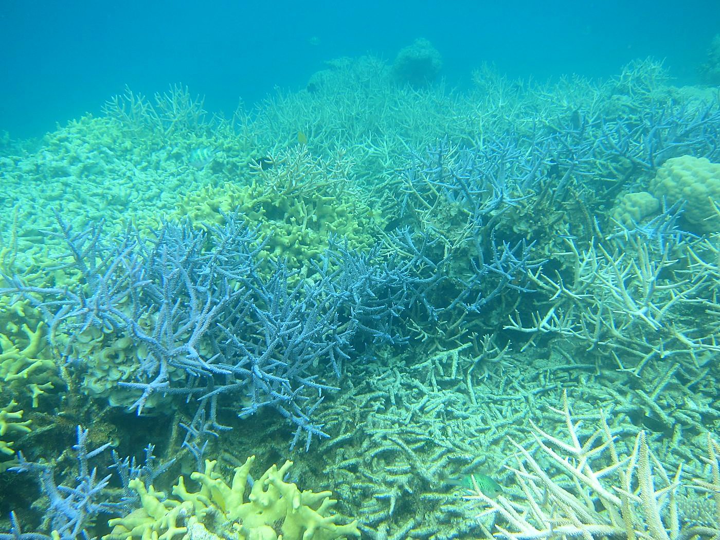 The Inner Lagoon 10
