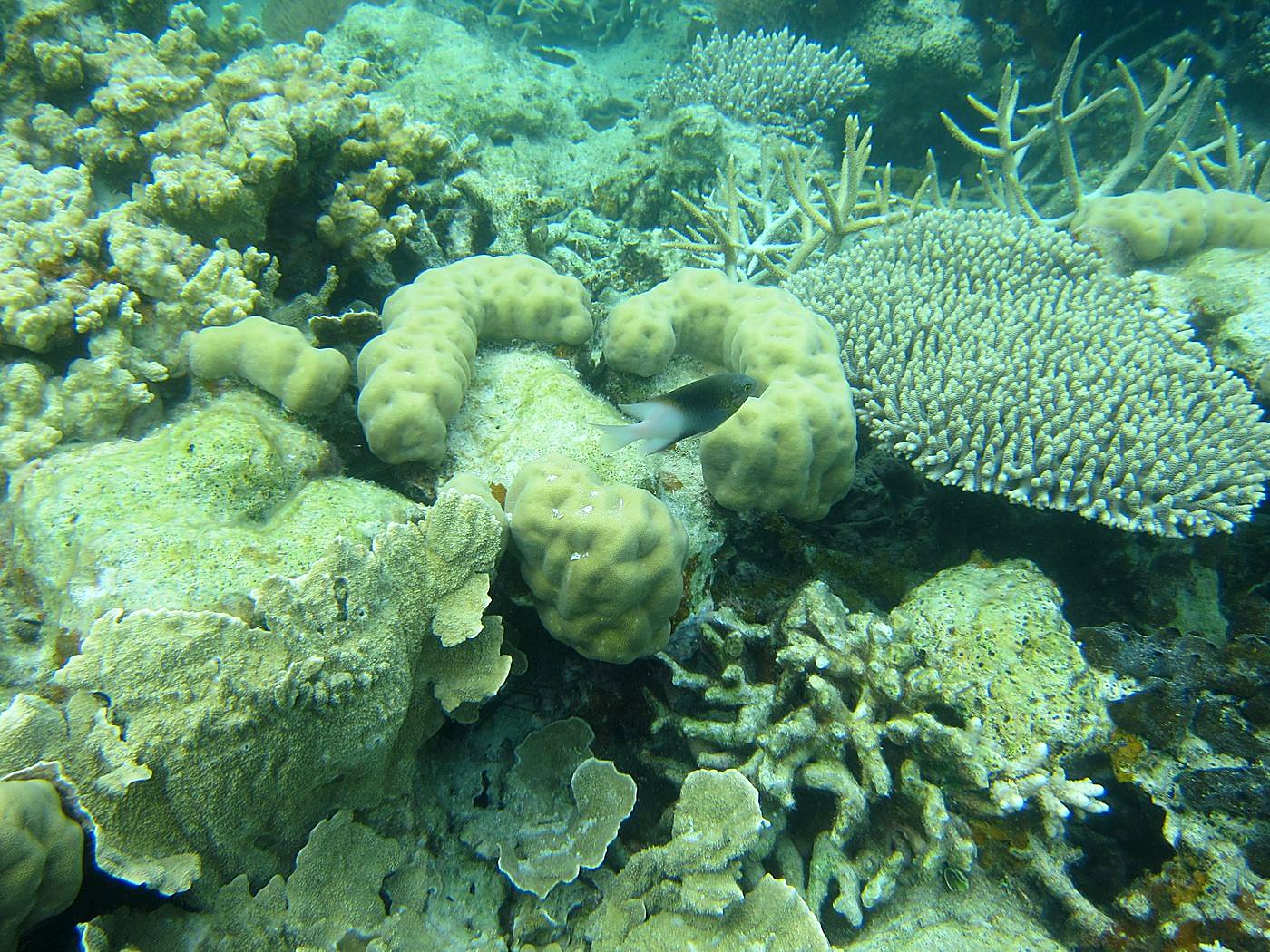 The Inner Lagoon 14