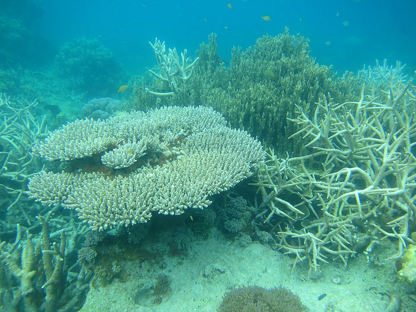 The Inner Lagoon 15