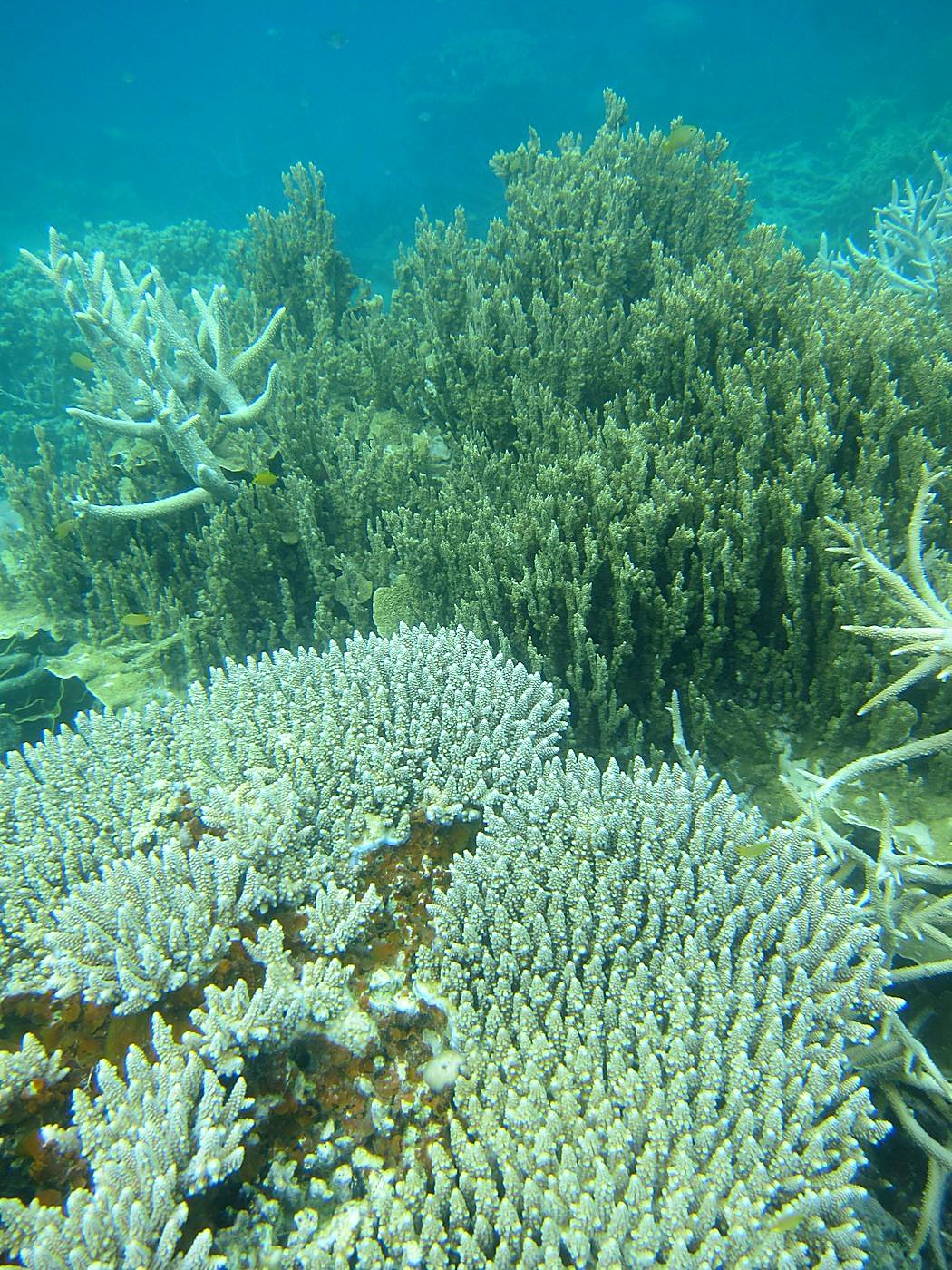 The Inner Lagoon 16