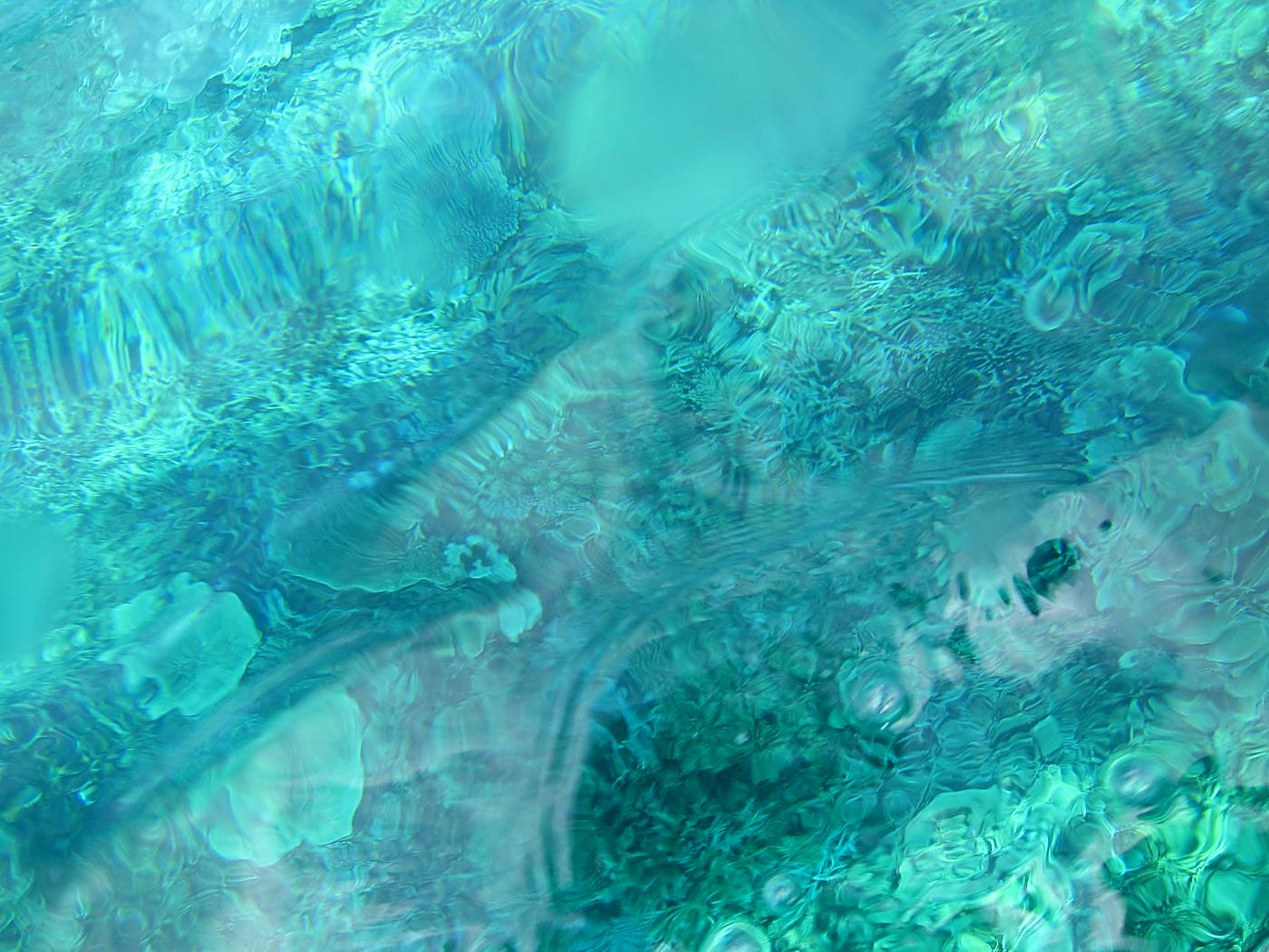 The Inner Lagoon 17