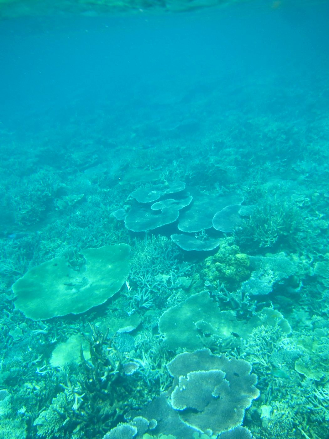 The Inner Lagoon 19