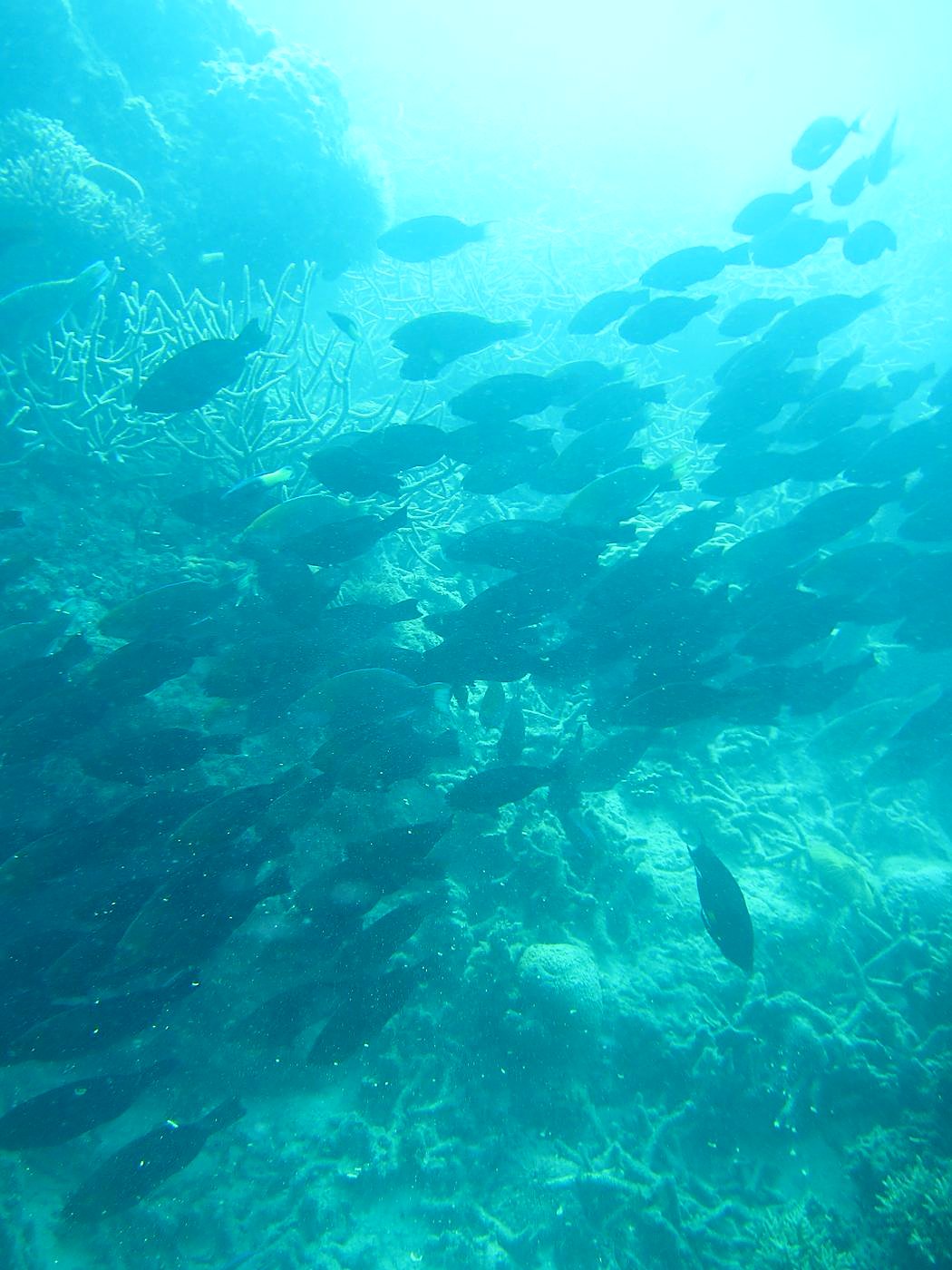 The Inner Lagoon 22