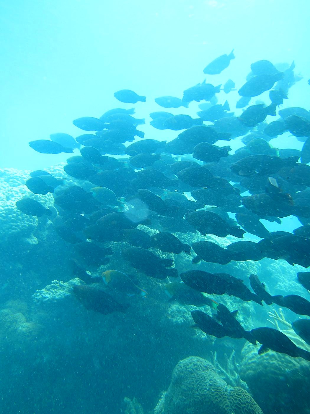 The Inner Lagoon 25