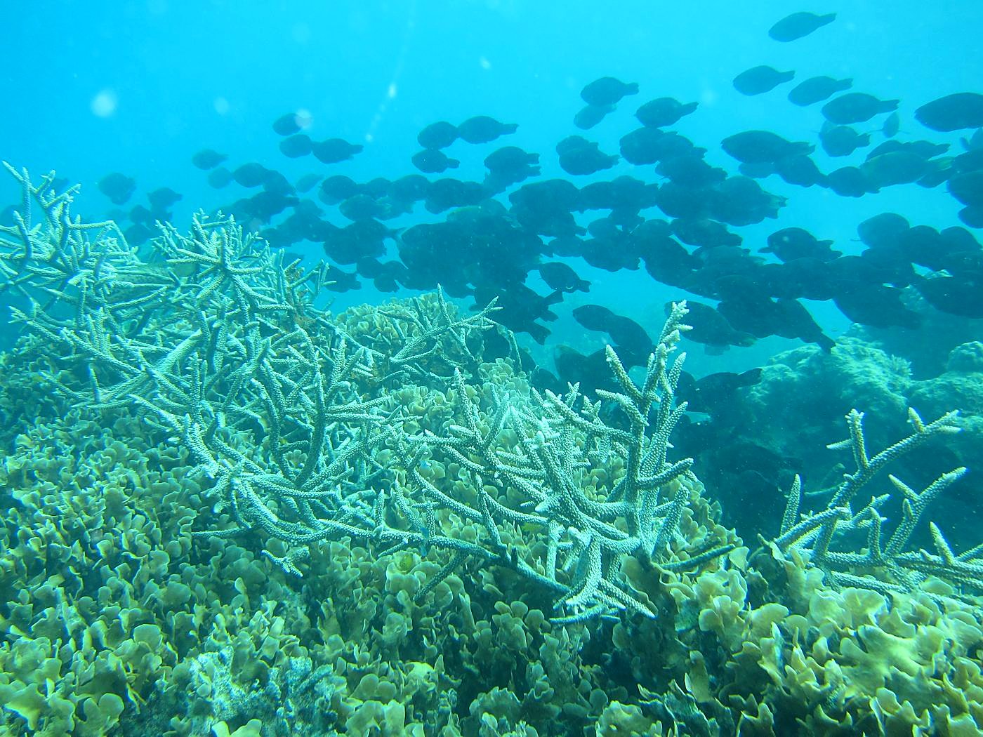 The Inner Lagoon 26