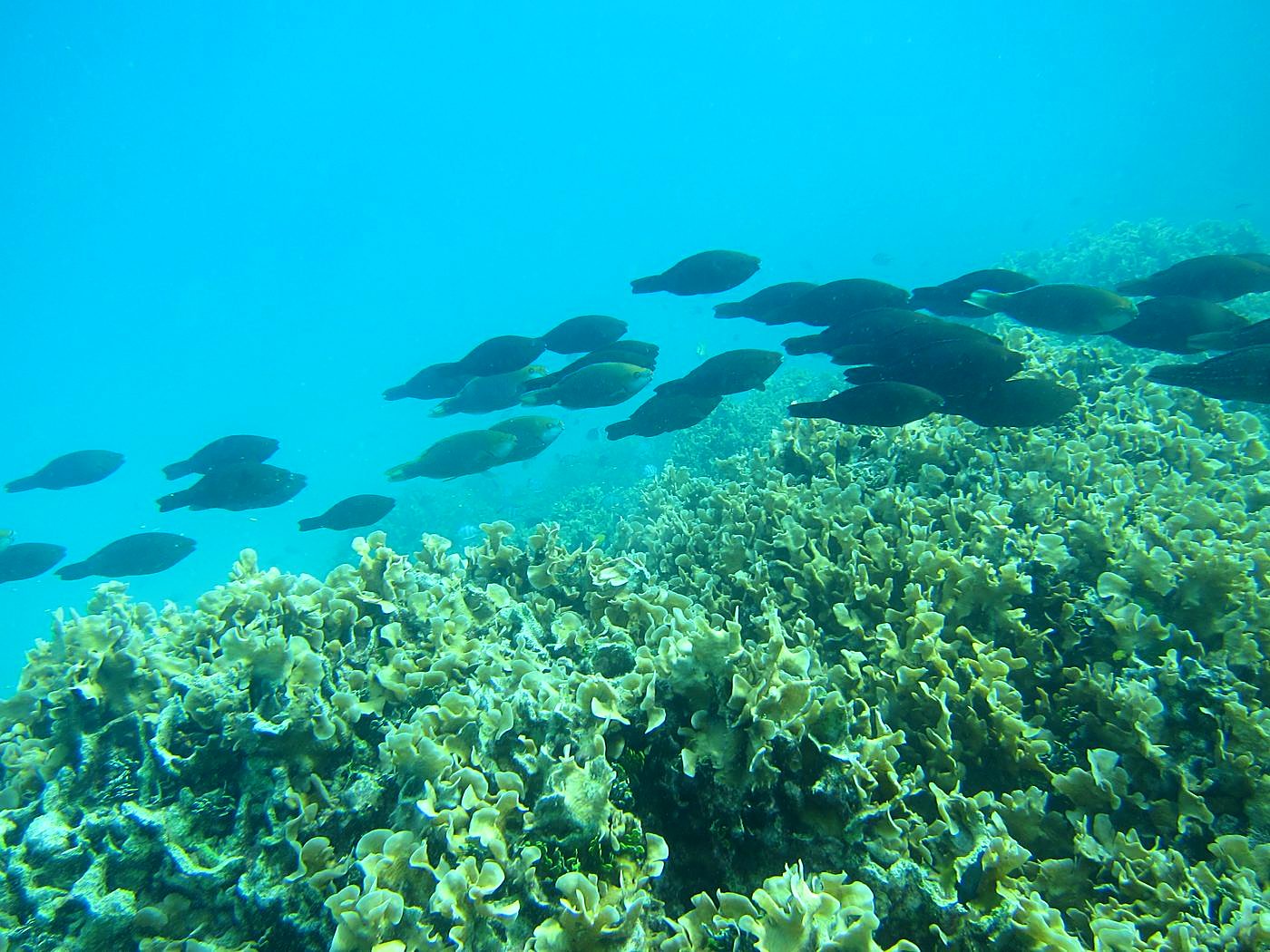 The Inner Lagoon 27