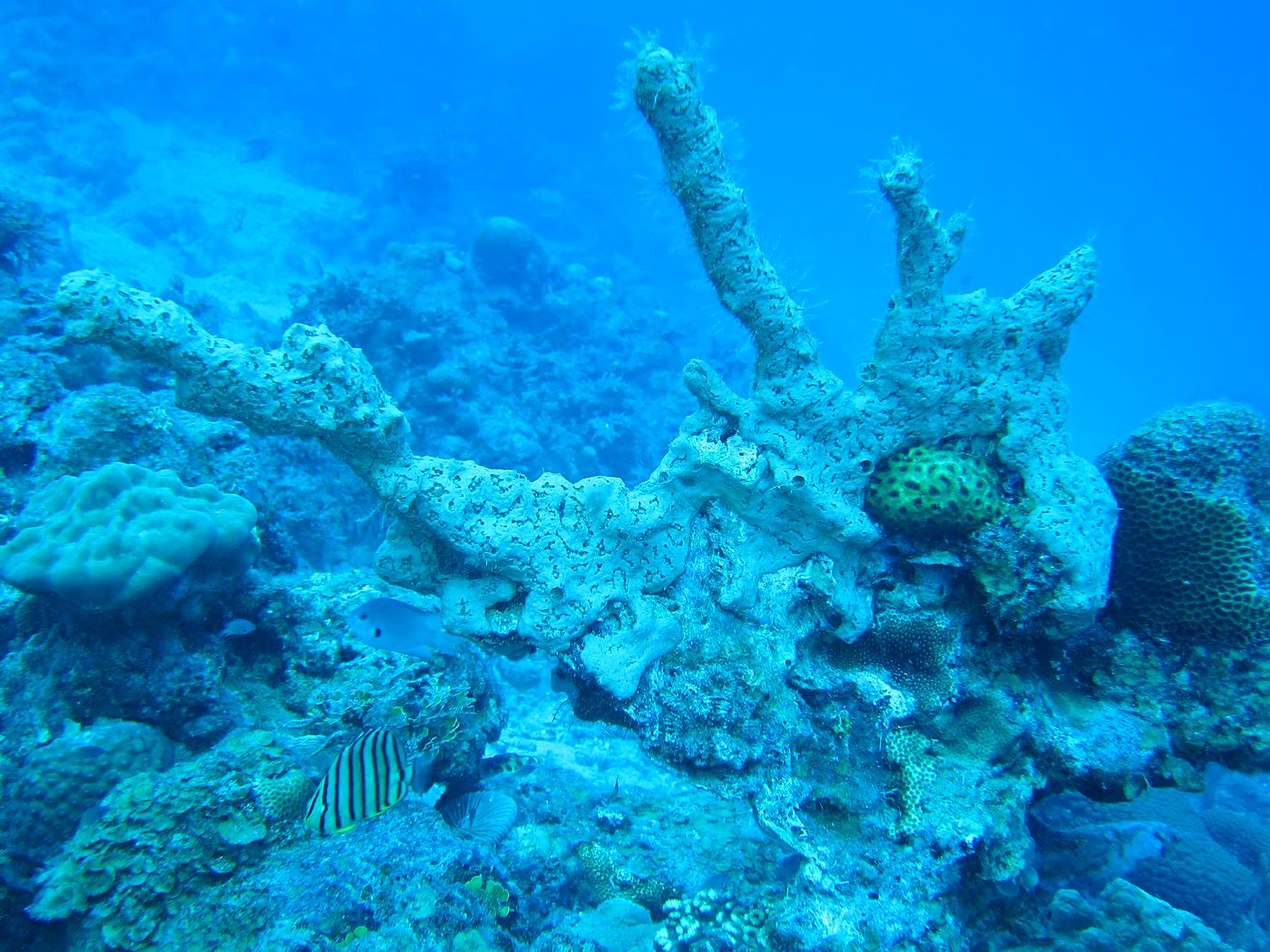 The Inner Lagoon 30