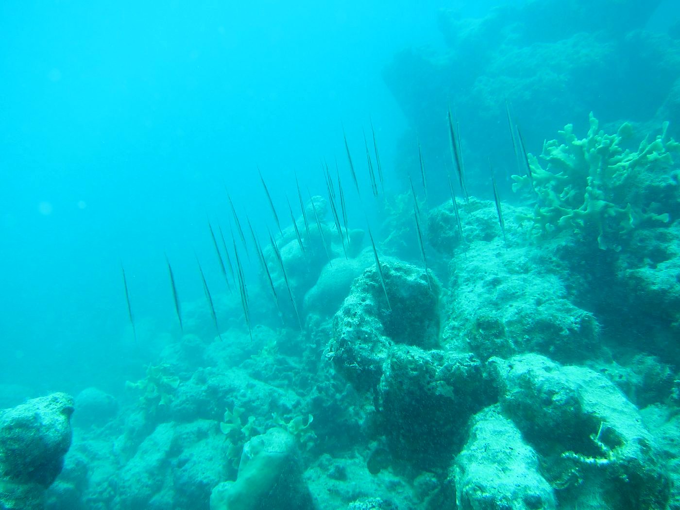 The Inner Lagoon 34