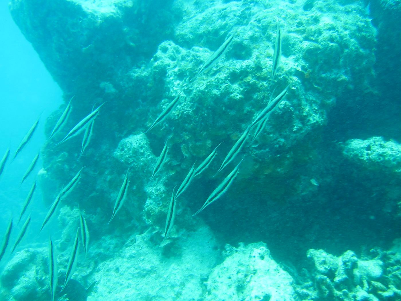 The Inner Lagoon 35