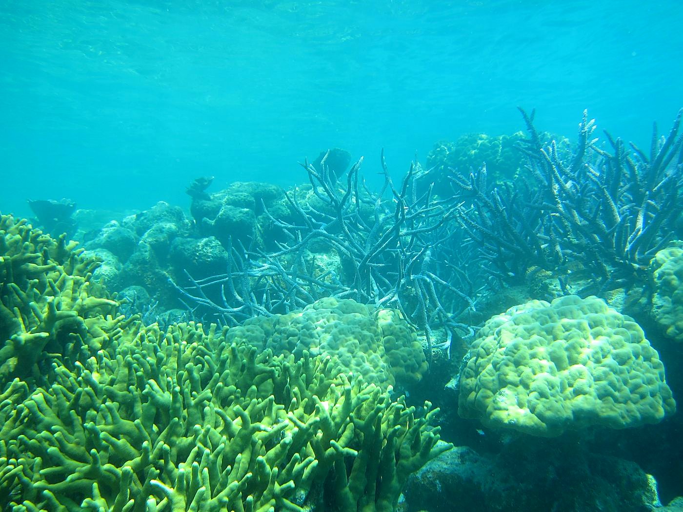 The Inner Lagoon 82
