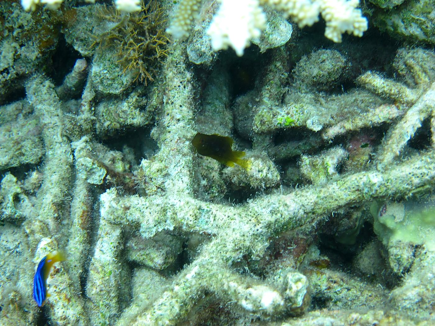 Lagoon by the Ship Bridge 11