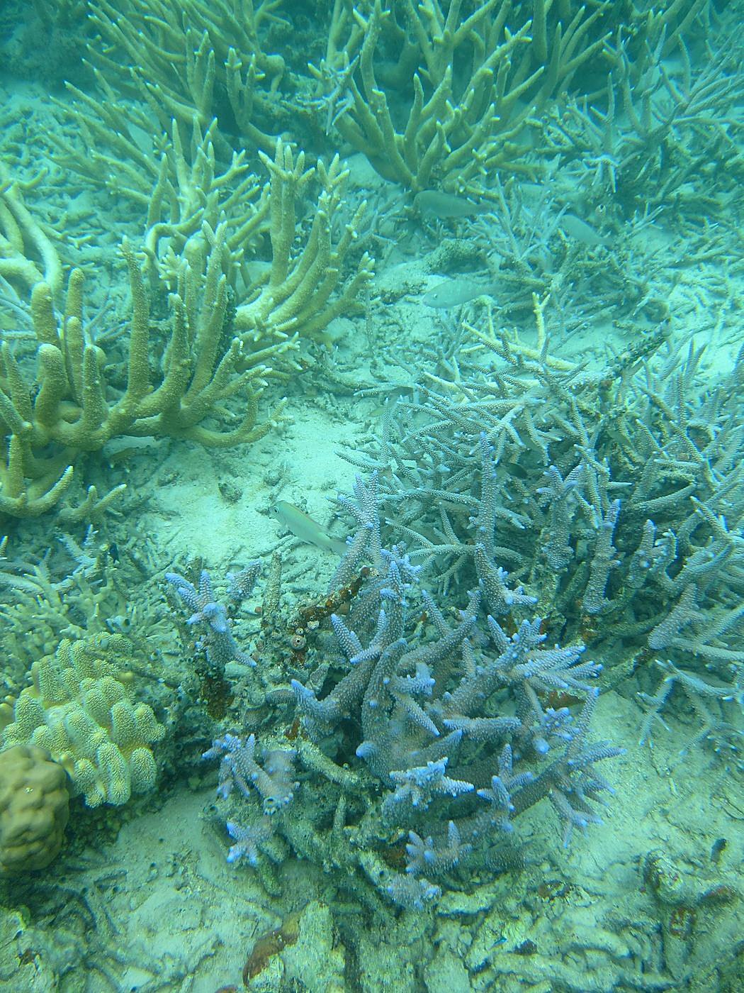 Lagoon by the Ship Bridge 15
