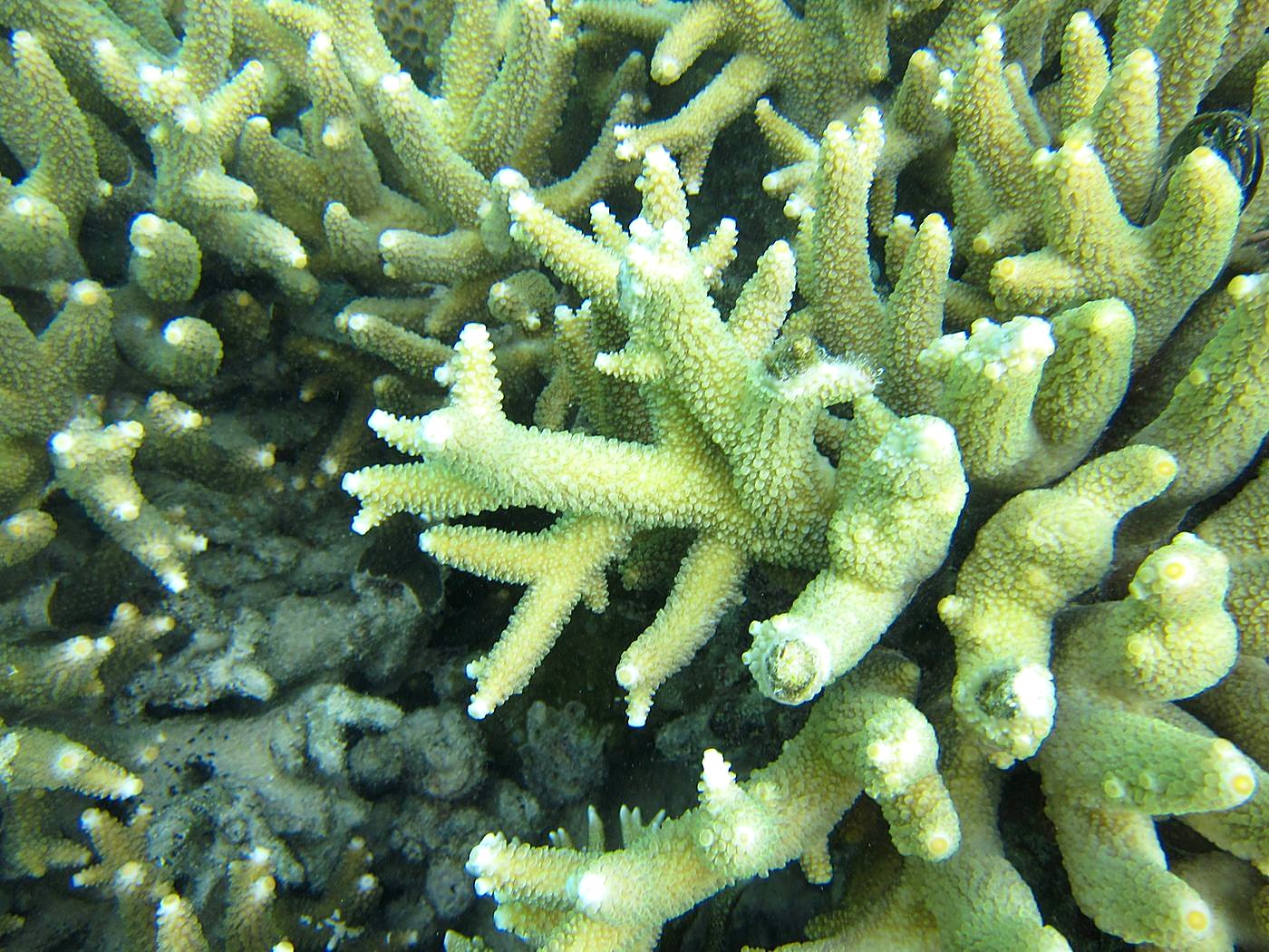 Lagoon by the Ship Bridge 22