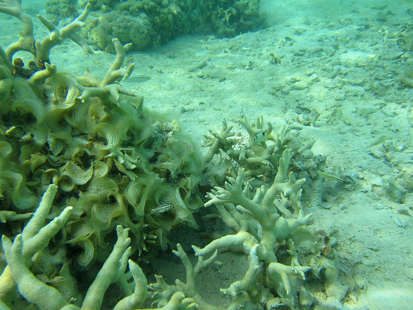 Lagoon by the Ship Bridge 29