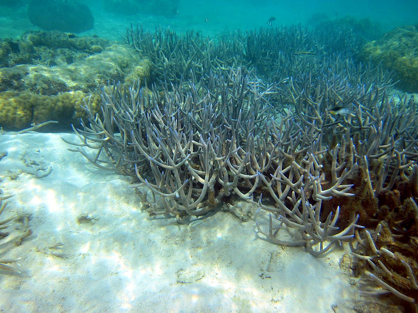 Lagoon by the Ship Bridge 34
