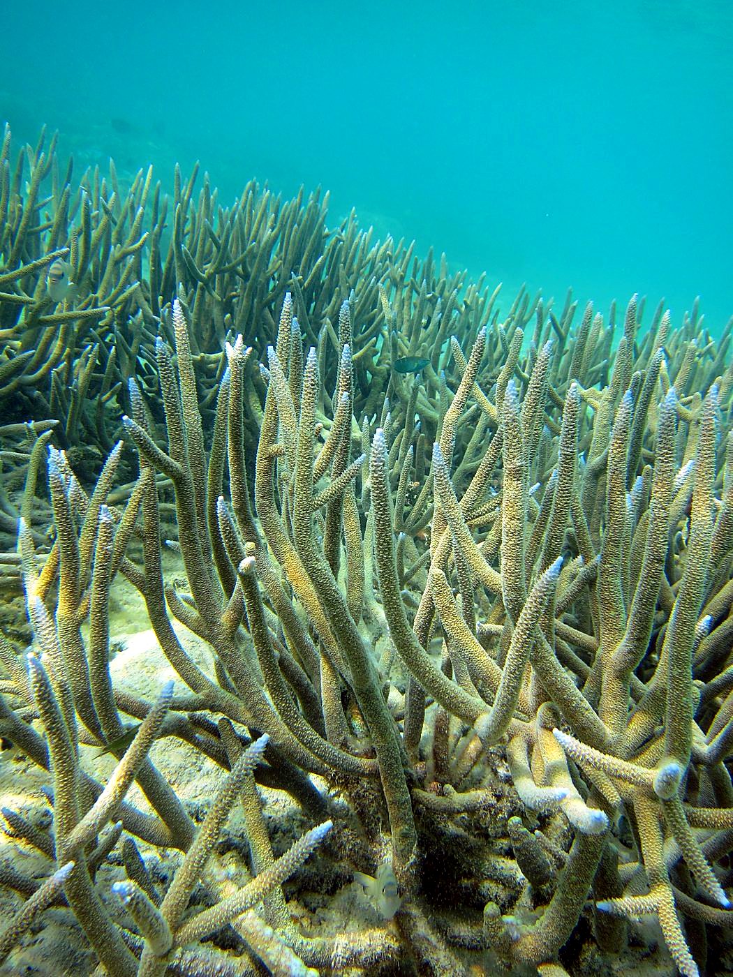 Lagoon by the Ship Bridge 37