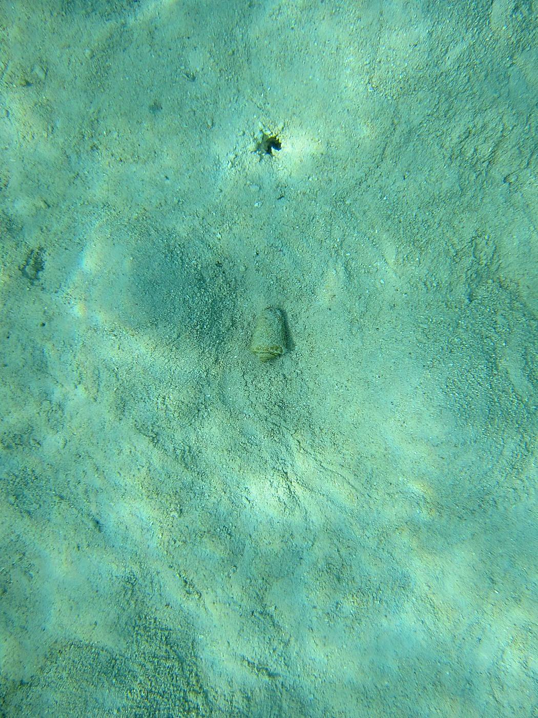 Lagoon by the Ship Bridge 39