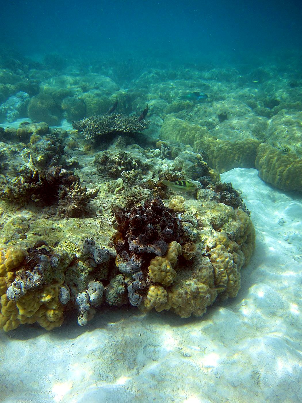 Lagoon by the Ship Bridge 40