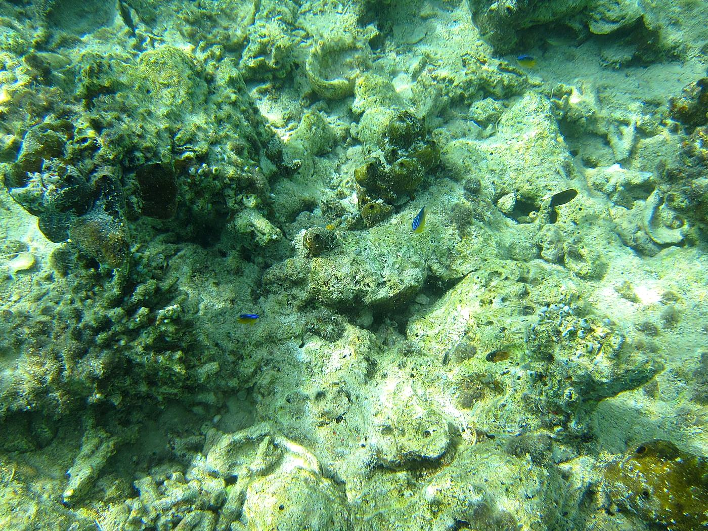Lagoon by the Ship Bridge 41