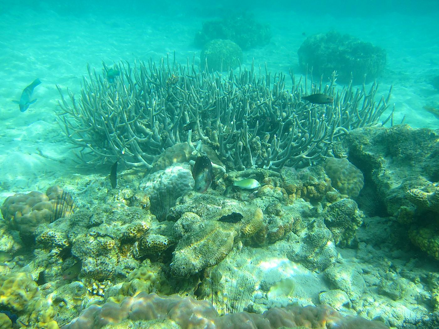 Lagoon by the Ship Bridge 45