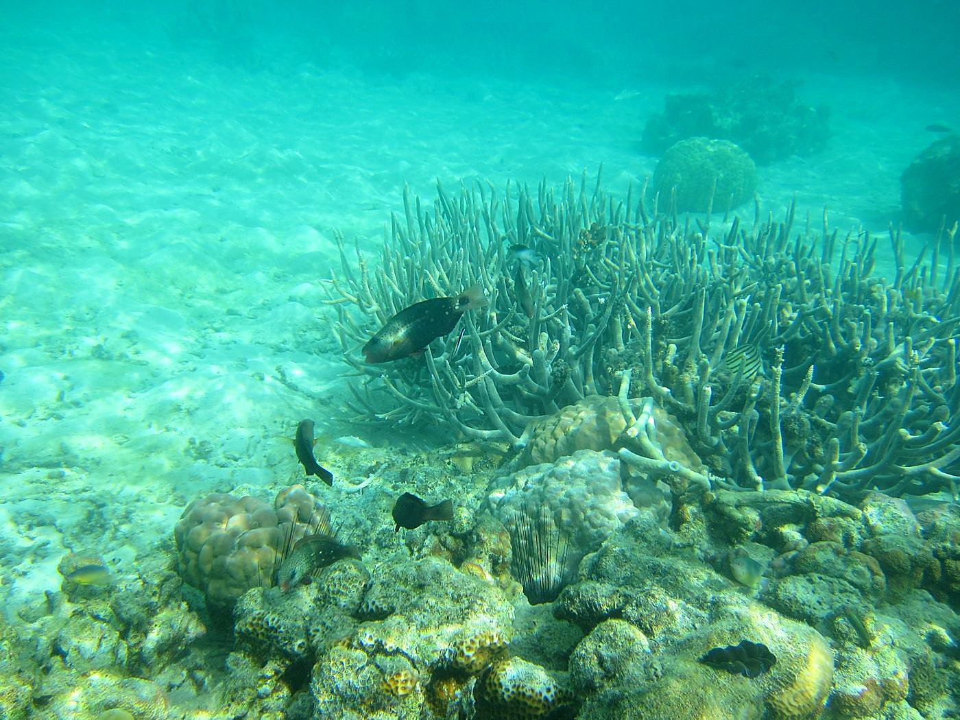 Lagoon by the Ship Bridge 46