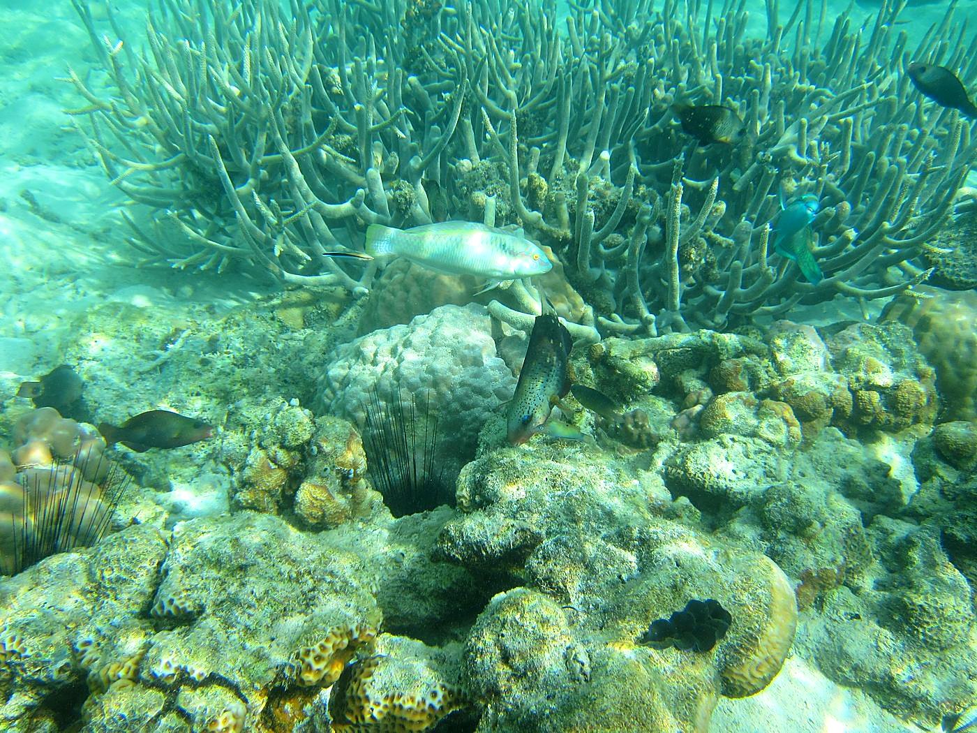 Lagoon by the Ship Bridge 47