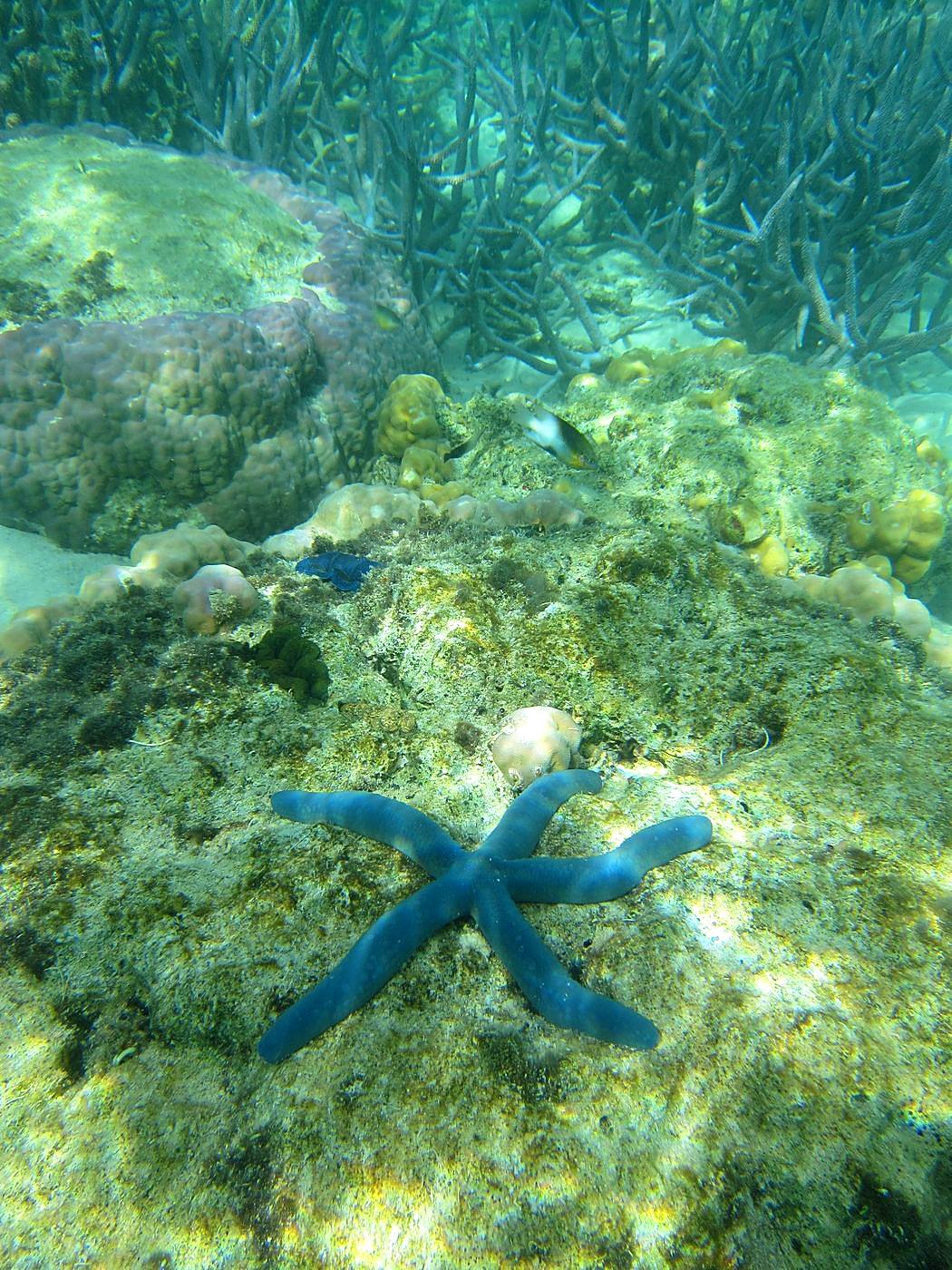 Lagoon by the Ship Bridge 48
