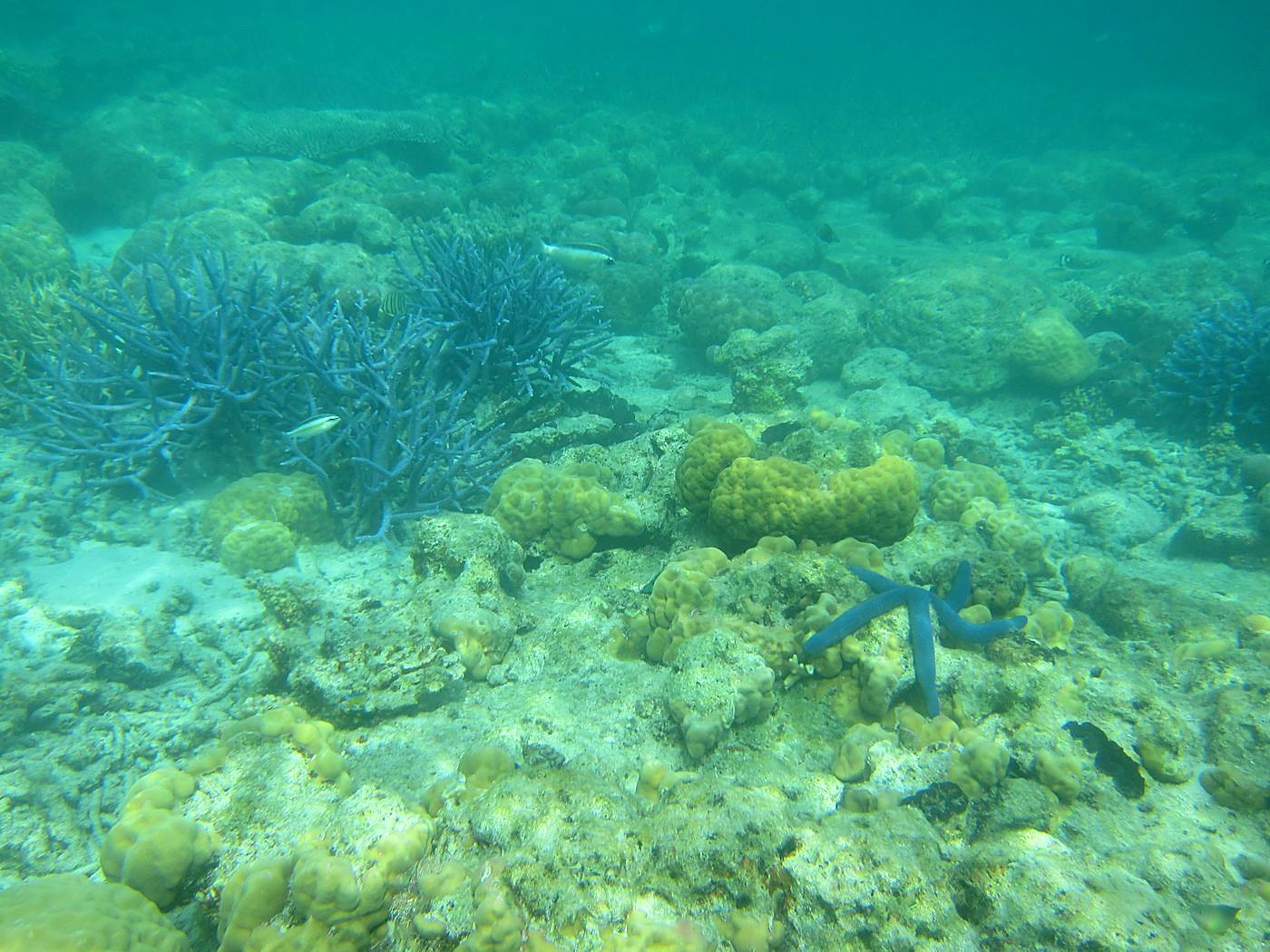 Lagoon by the Ship Bridge 51