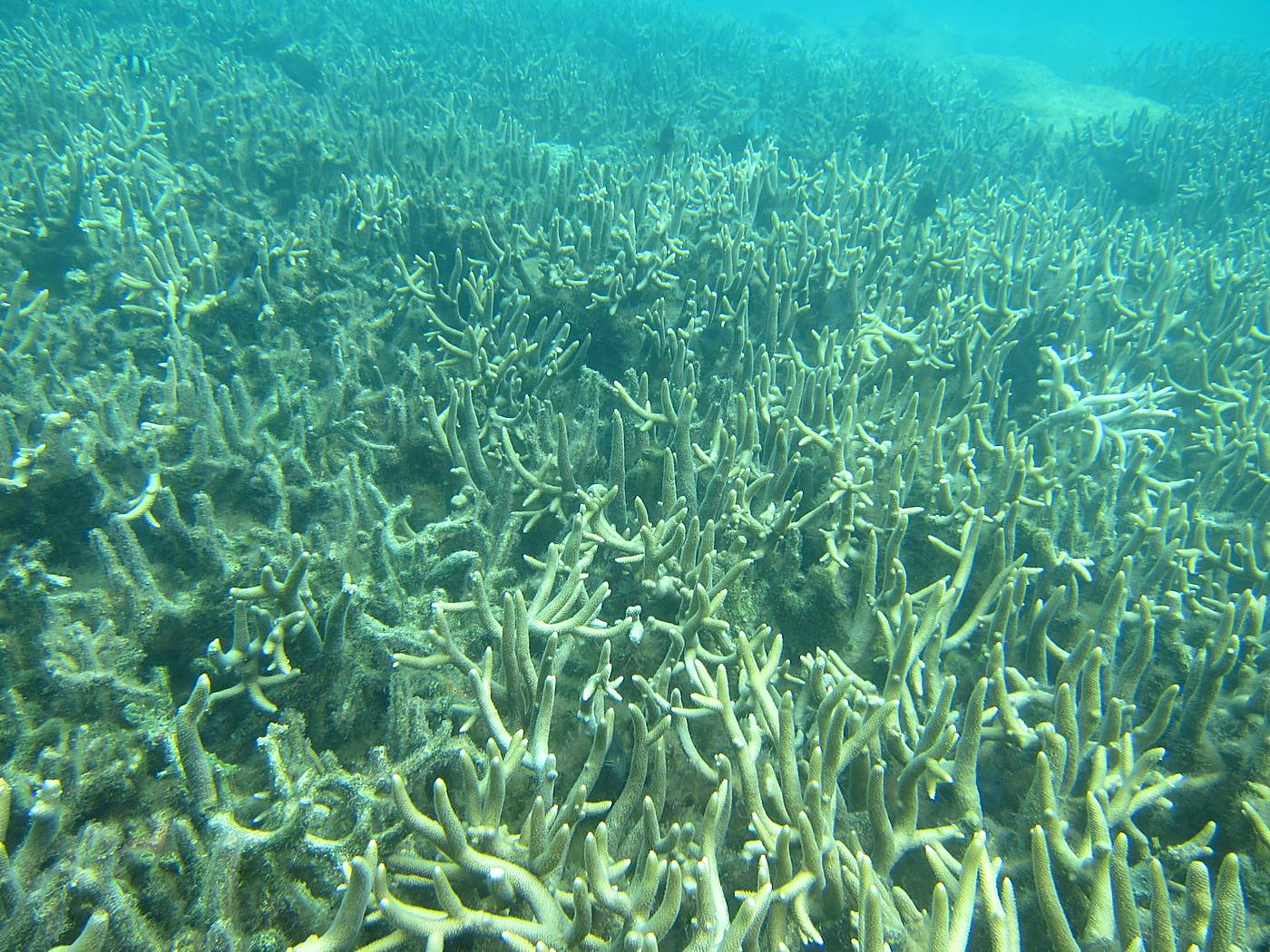 Lagoon by the Ship Bridge 53