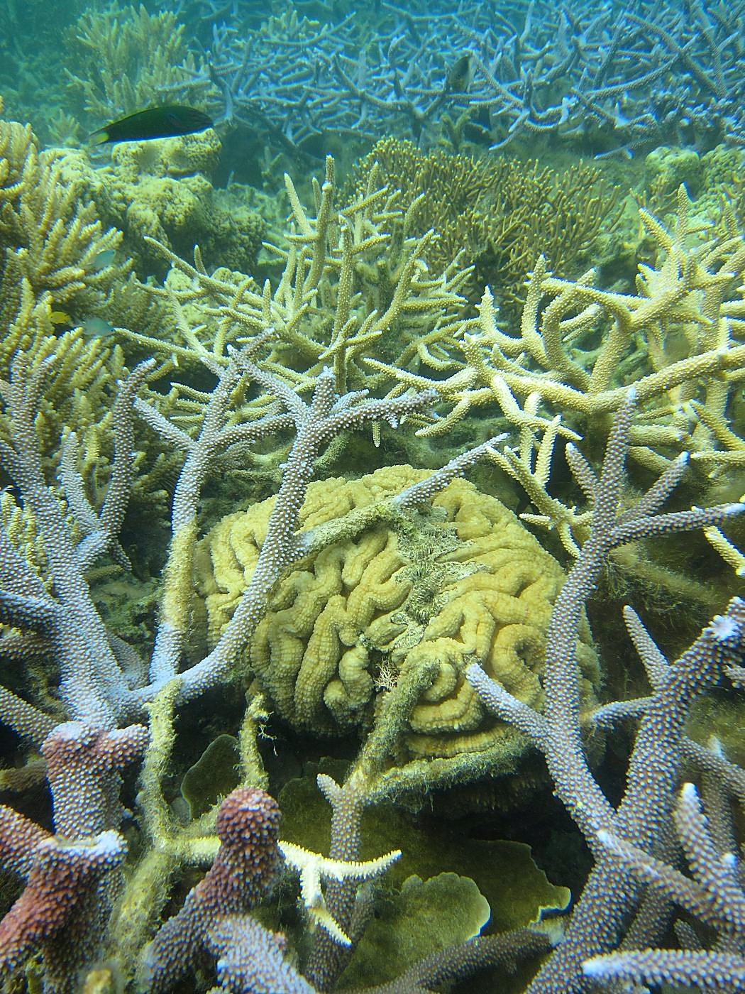 Lagoon by the Ship Bridge 60