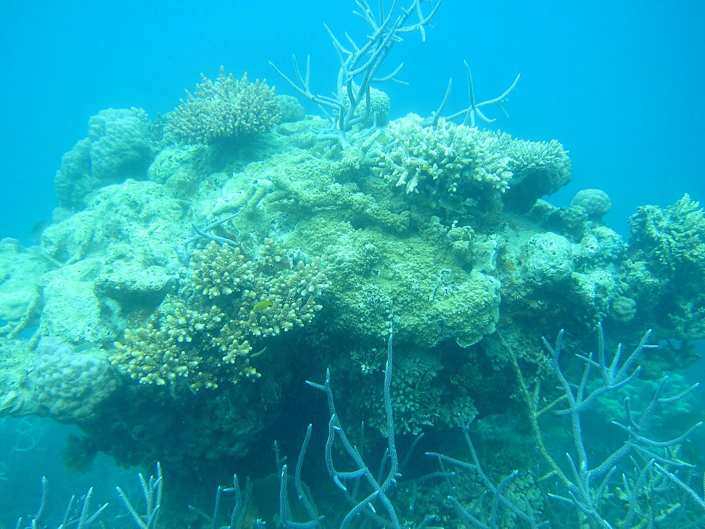 Lagoon by the Ship Bridge 62