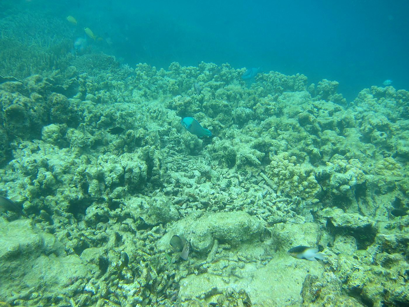 Lagoon by the Ship Bridge 65