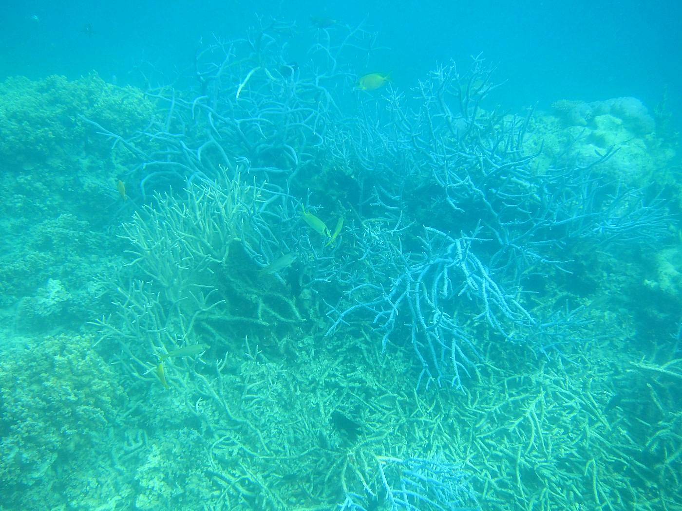 Lagoon by the Ship Bridge 72