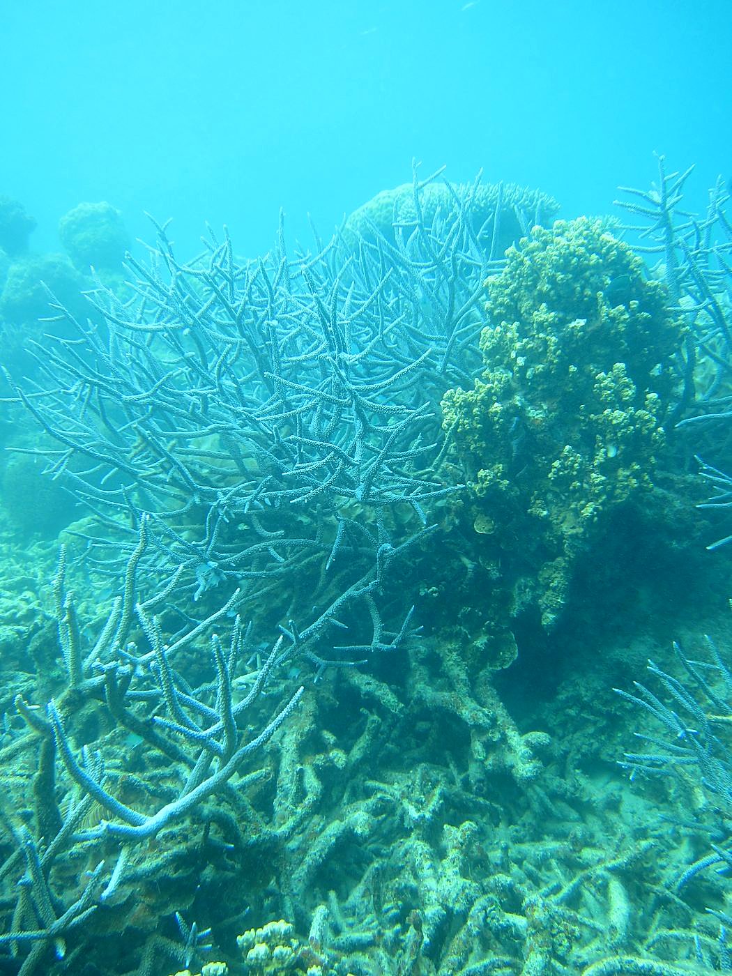 Lagoon by the Ship Bridge 73