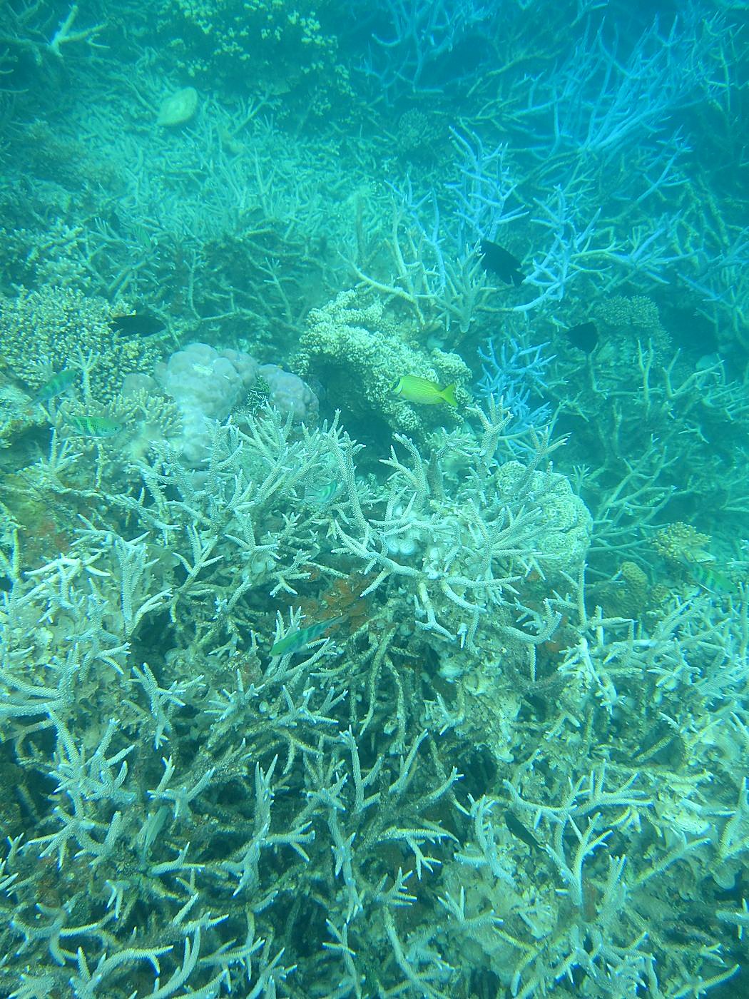 Lagoon by the Ship Bridge 75