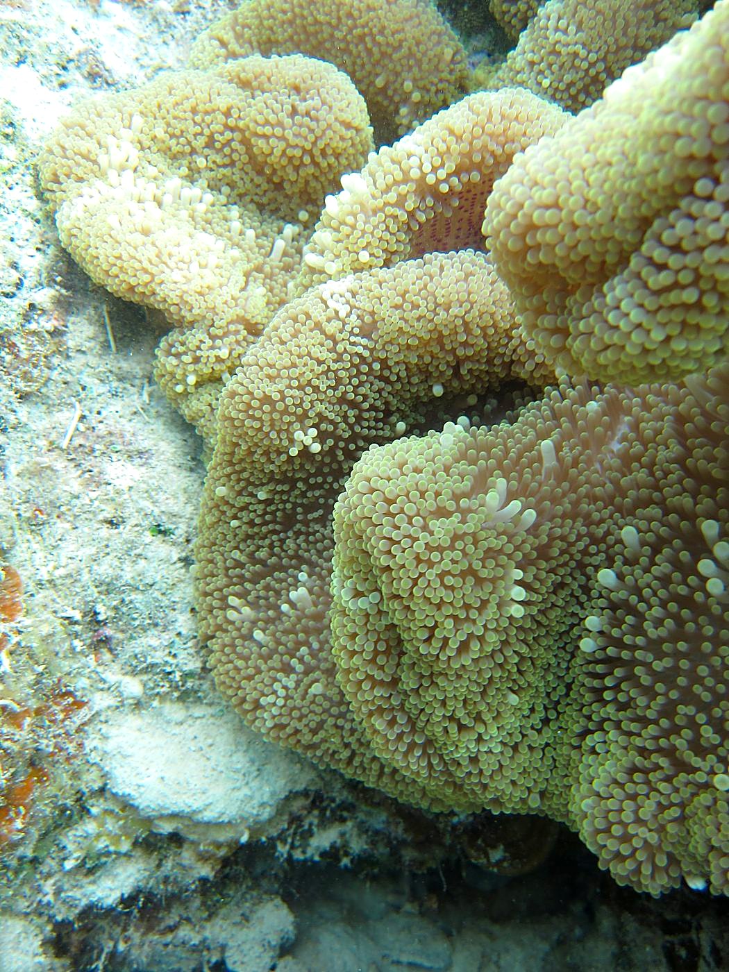 Lagoon by the Ship Bridge 80