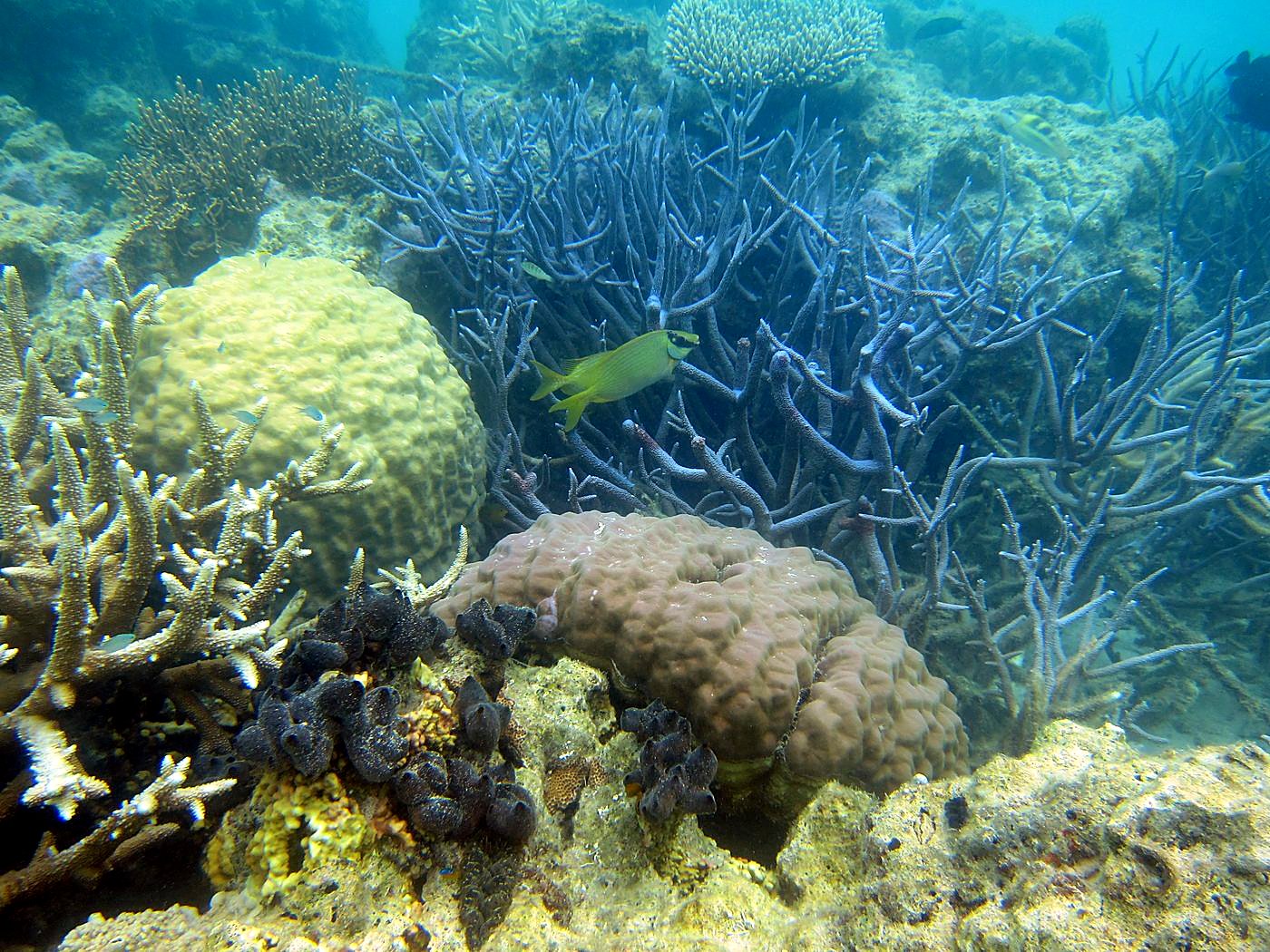 Lagoon by the Ship Bridge 93