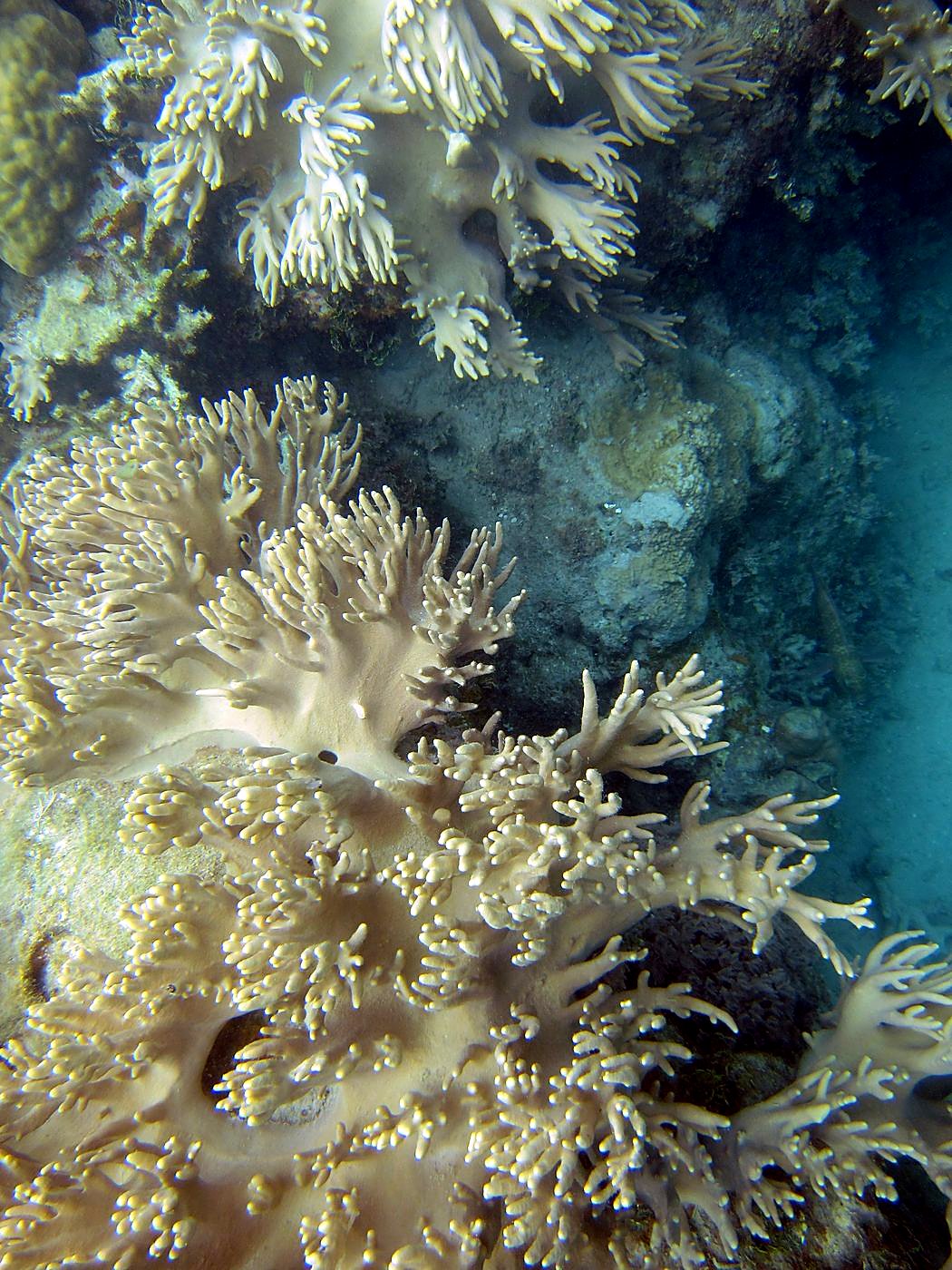 Lagoon by the Ship Bridge 97