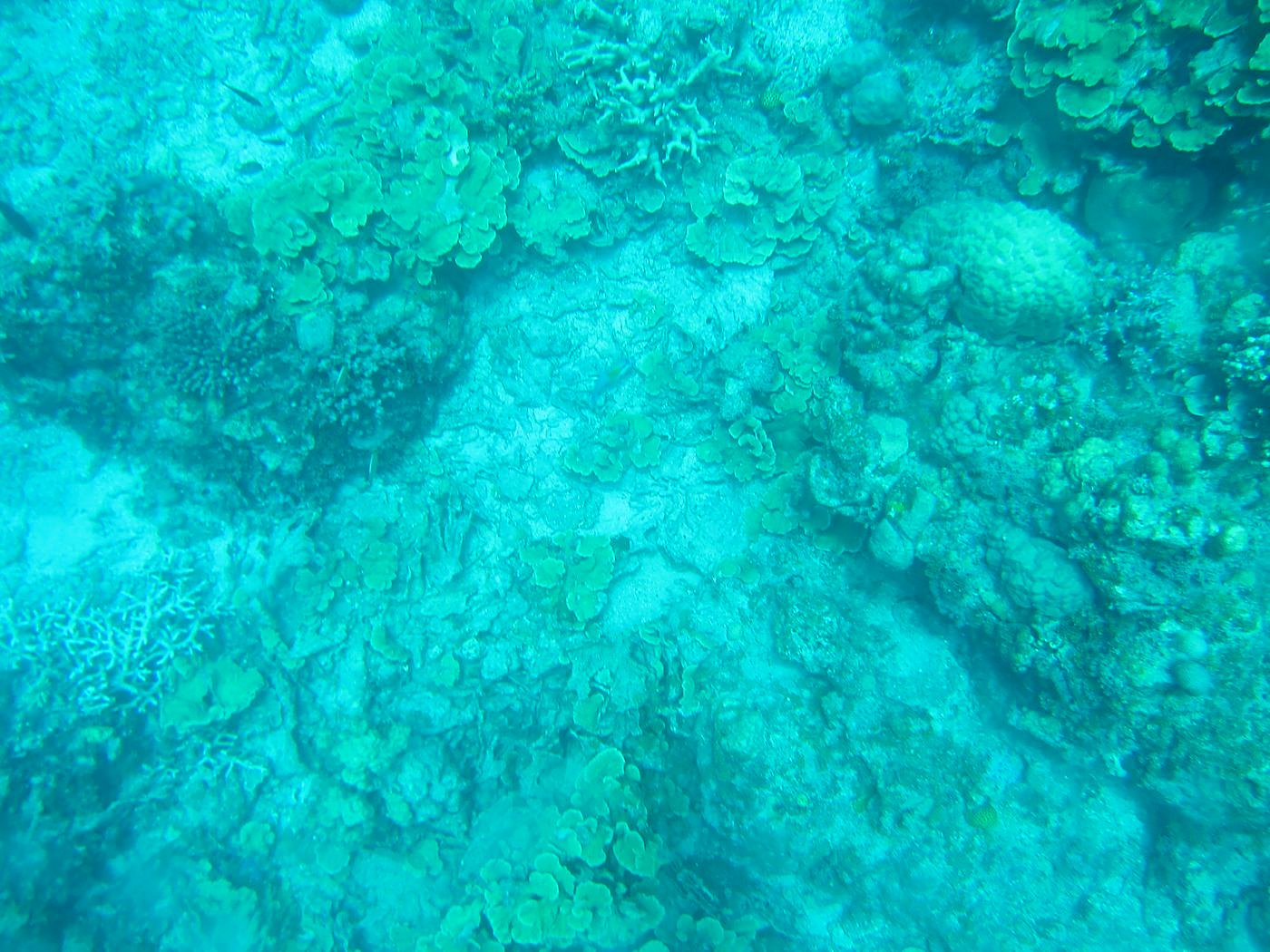 Lagoon by the Ship Bridge 98