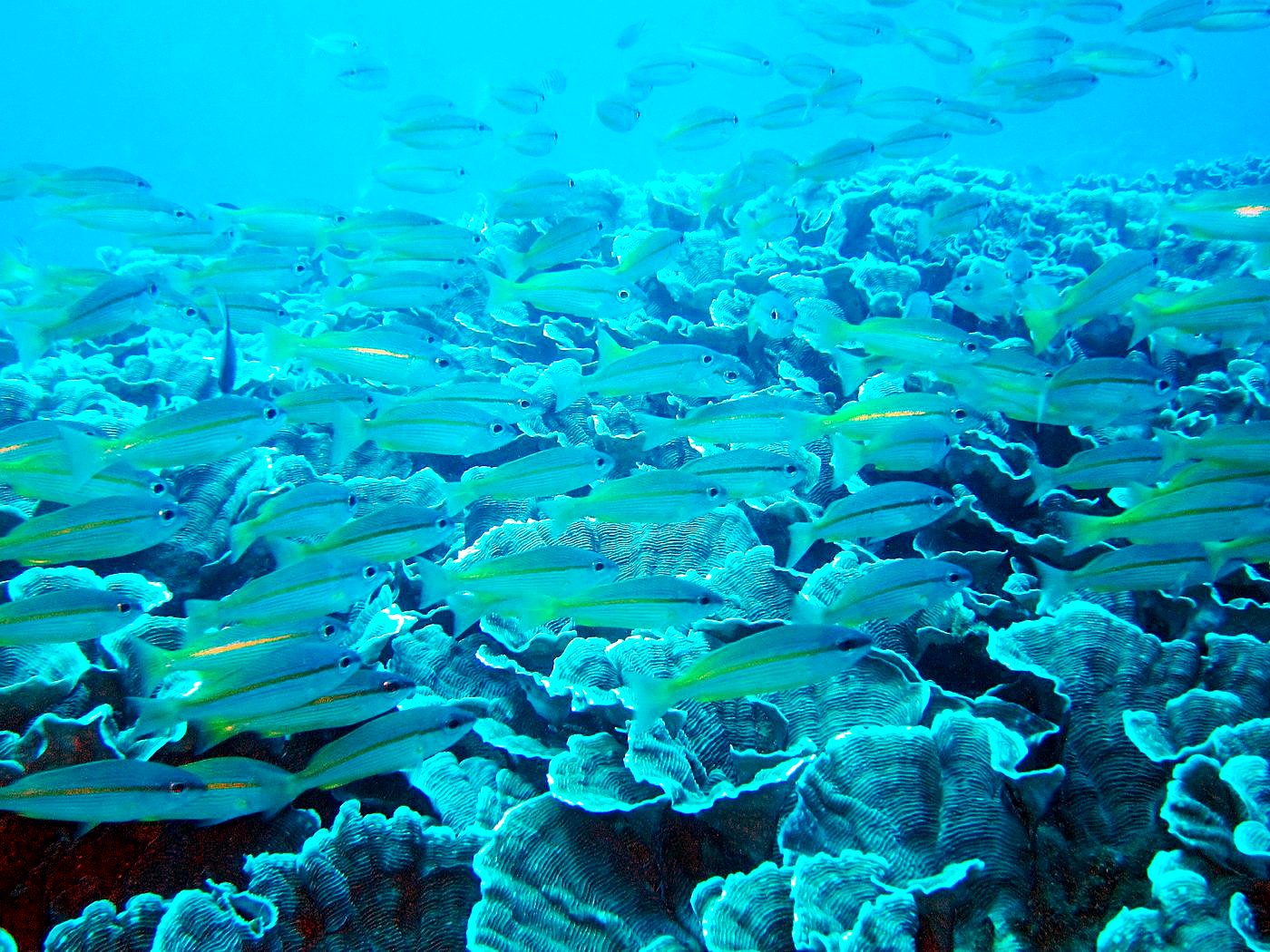 The Northeast Wall 10