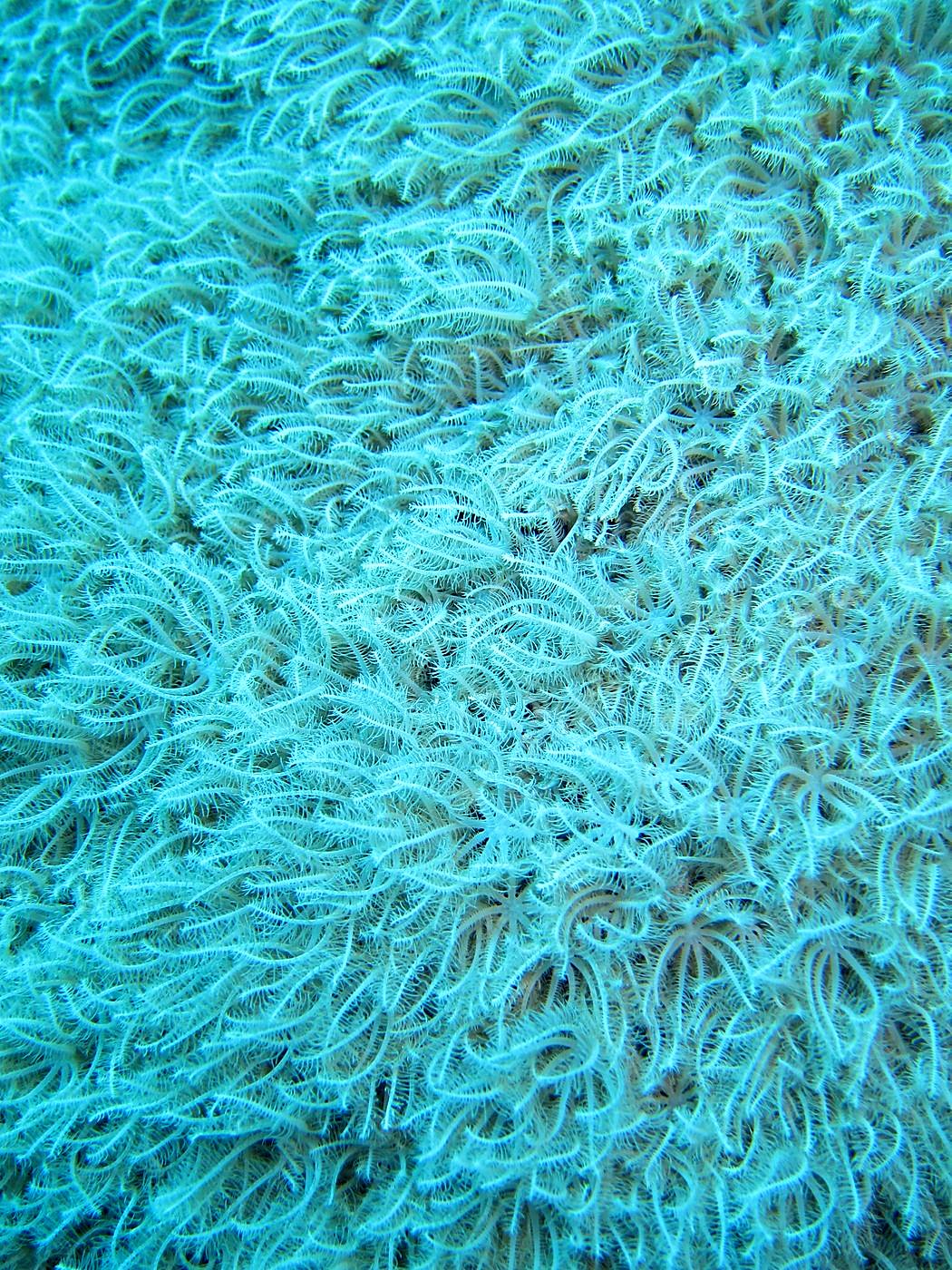 The Northeast Wall 14