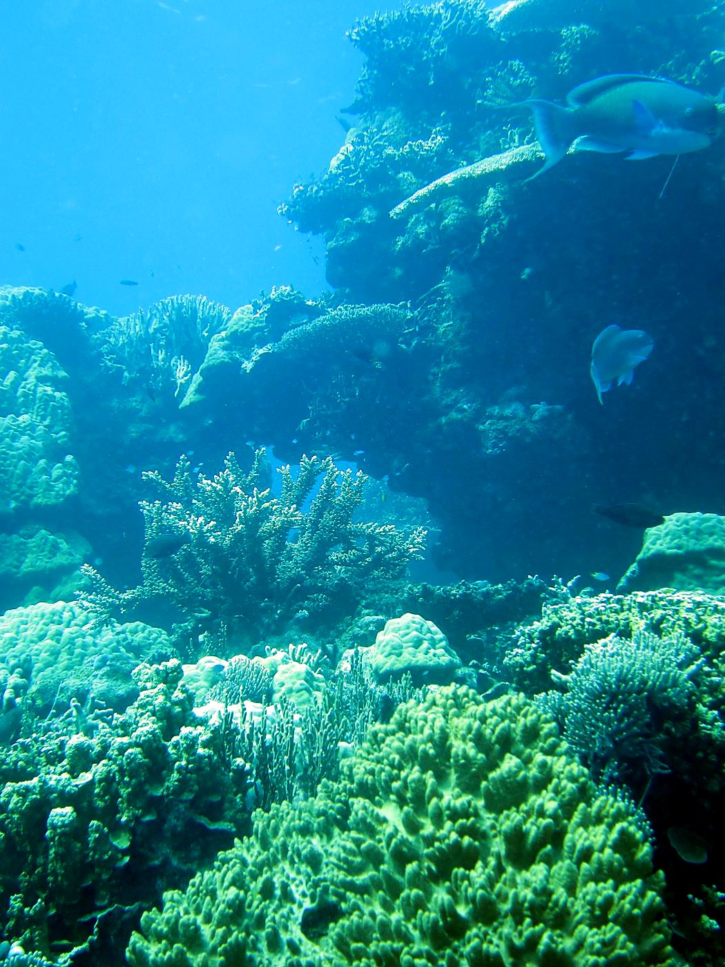 The Northeast Wall 20