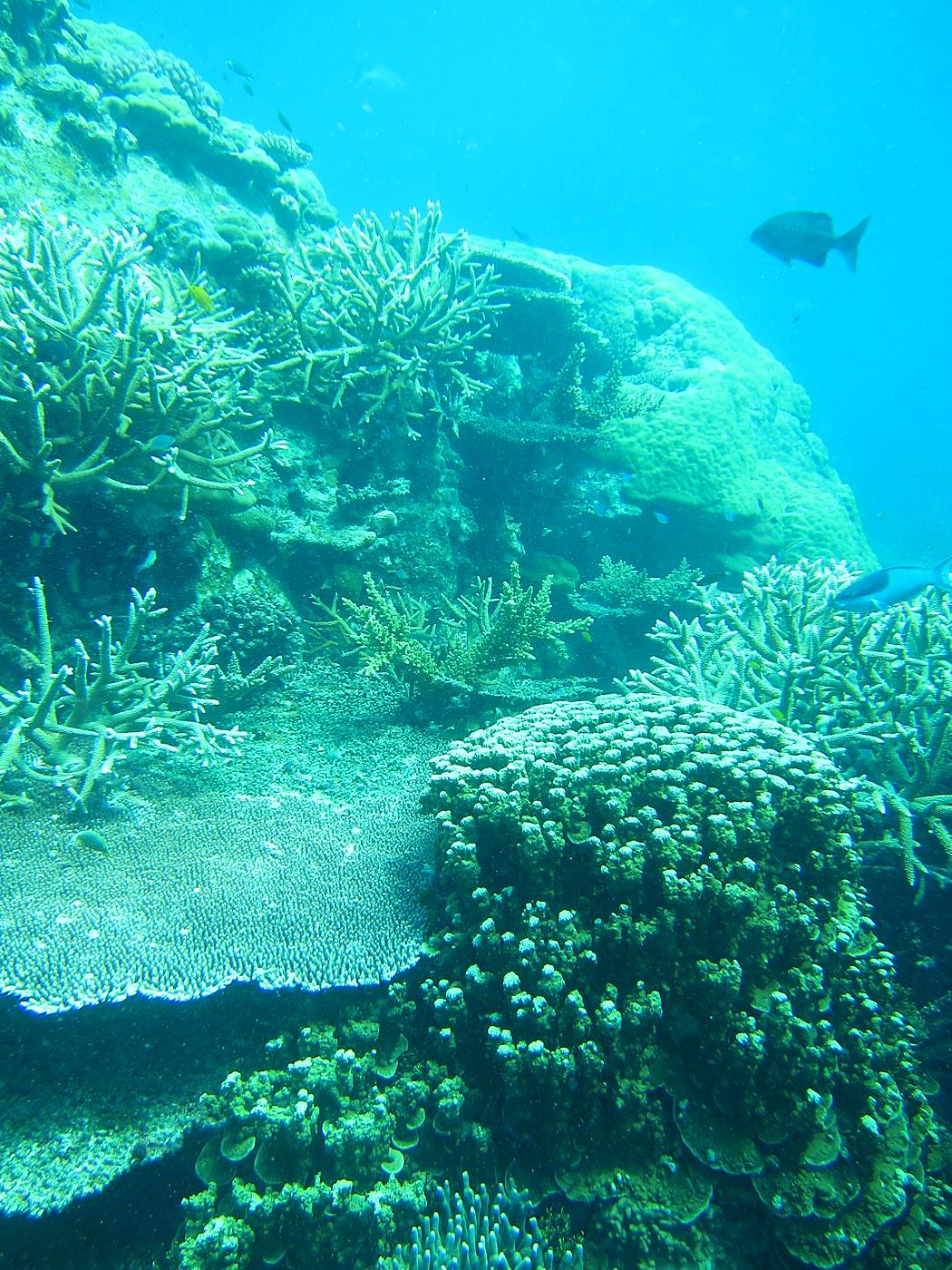 The Northeast Wall 21
