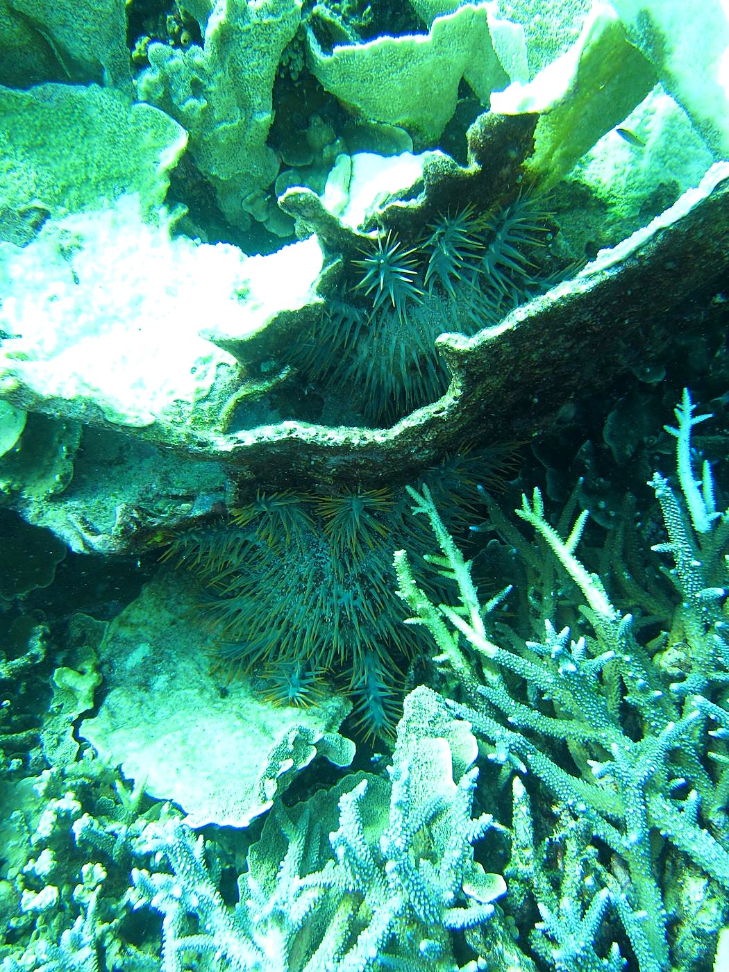 The Northeast Wall 22